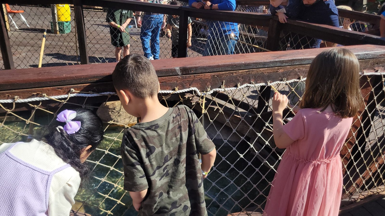 Big Fresno Fair Trip Image 3