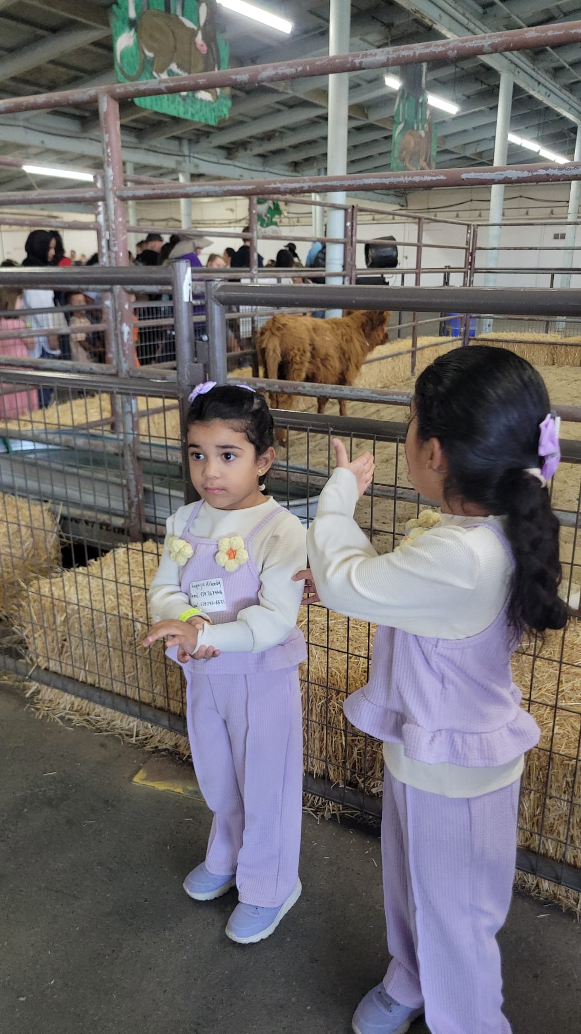 Big Fresno Fair Trip Image 2